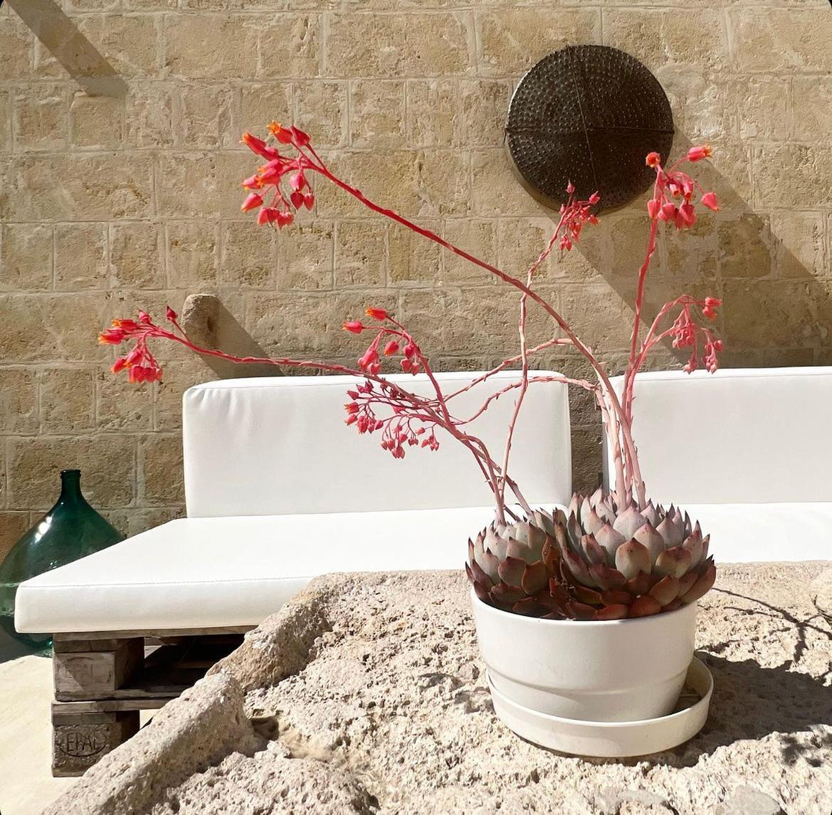 Masseria Spiga Gravina in Puglia Exterior photo